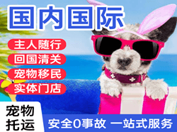 呼伦贝尔海拉尔航空快递国际宠物托运 【国